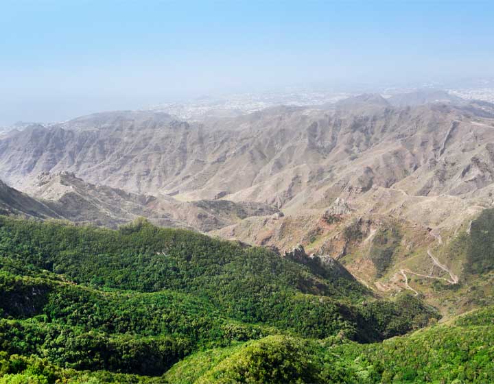 Aerial view of Tenerife showcasing the contrast between dry land and lush greenery, highlighting the island's diverse climate.