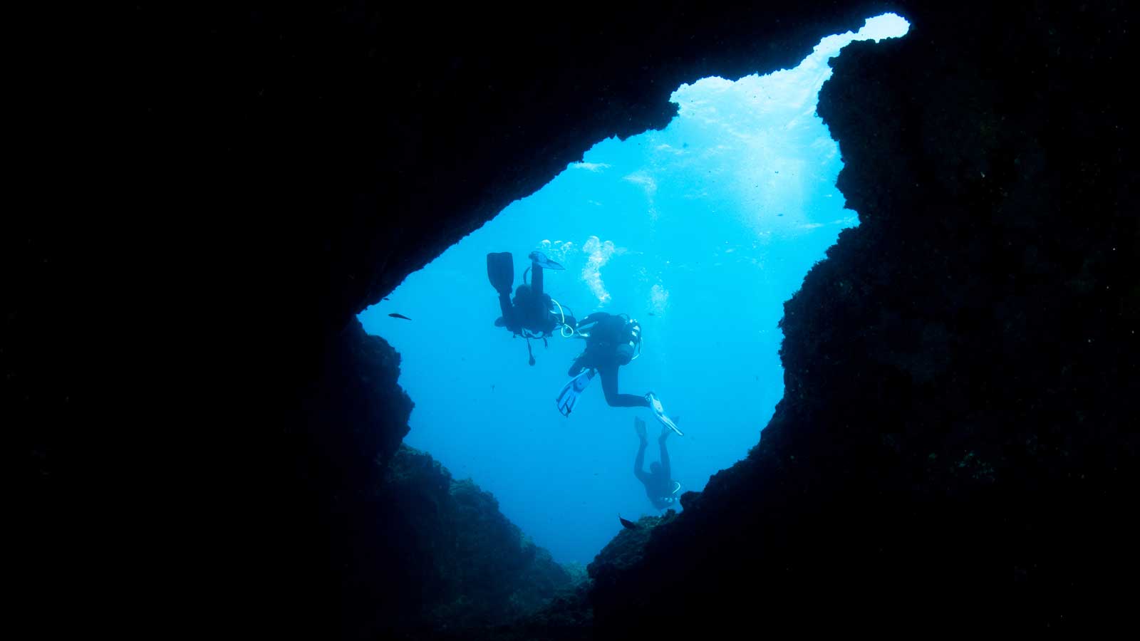 A group of divers exploring the clear blue waters of Tenerife during a Discover Scuba Diving adventure.