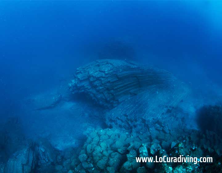 Underwater view of unique rock formations in Tubo de Garachico, featuring fallen angel wings.