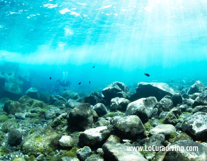 Entrance to Las Eras dive site, sheltered by concrete blocks with rocks on the bottom.
