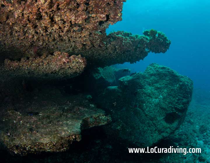 The impressive reef wall at the Las Eras dive site, showcasing diverse marine life.