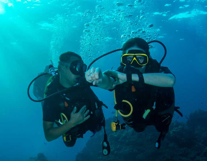 Image for the Navigation Diver Specialty course, featuring a diver using a compass underwater.