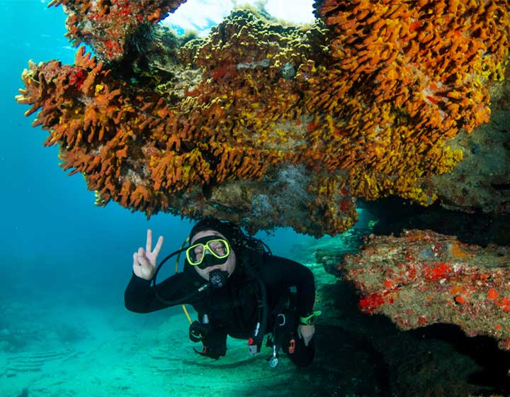 El Peñón Wreck Dive in Tabaiba, Tenerife – Advanced Open Water Diver Course with LoCura Diving