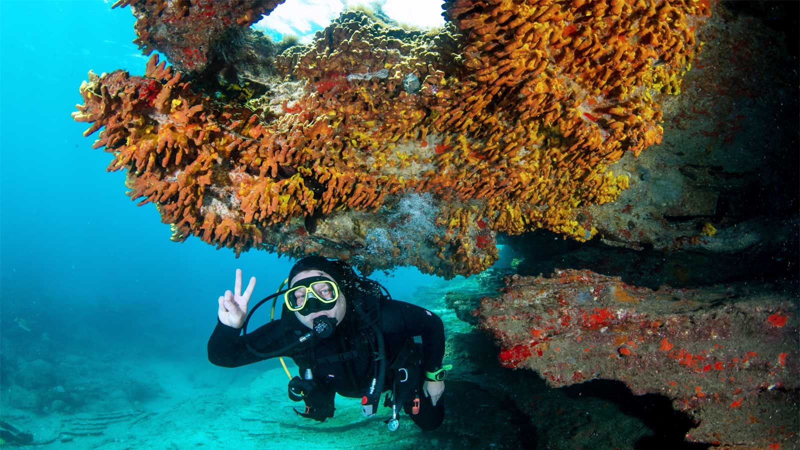 Diver next to a vibrant coral reef while participating in the Scuba Diver Course at LoCura Diving in Tenerife.