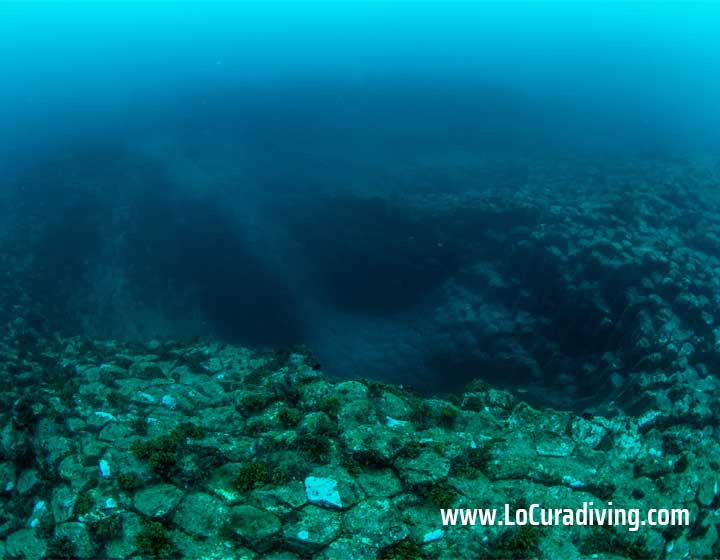 Top-down underwater view of La Rapadura’s prismatic rock formations in Tenerife.