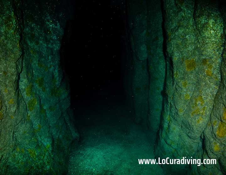 Underwater view of the volcanic tunnel in Tubo de Garachico, Tenerife.