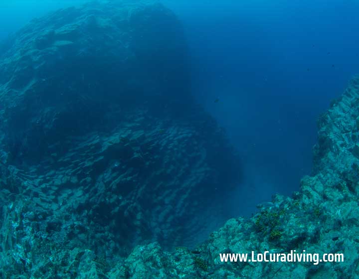 Underwater view of the unique rock formations in Tubo de Garachico from an alternate perspective.