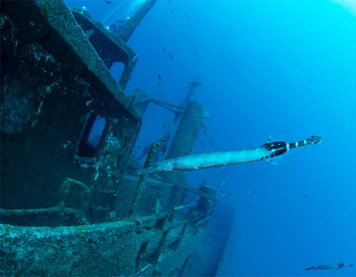Diver exploring the El Peñón wreck in Tabaiba during a Wreck Diver Specialty course.