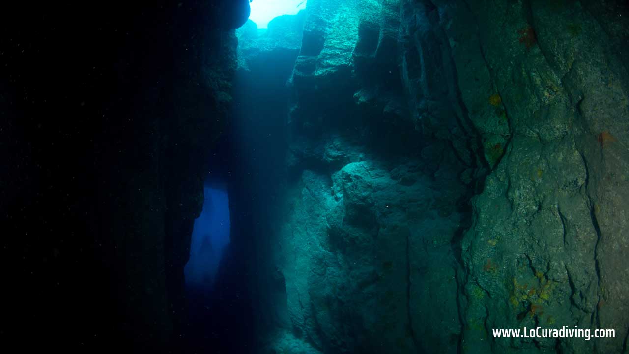 Underwater view of the blue entrance of Tubo de Garachico with rays of light shining through the ceiling.