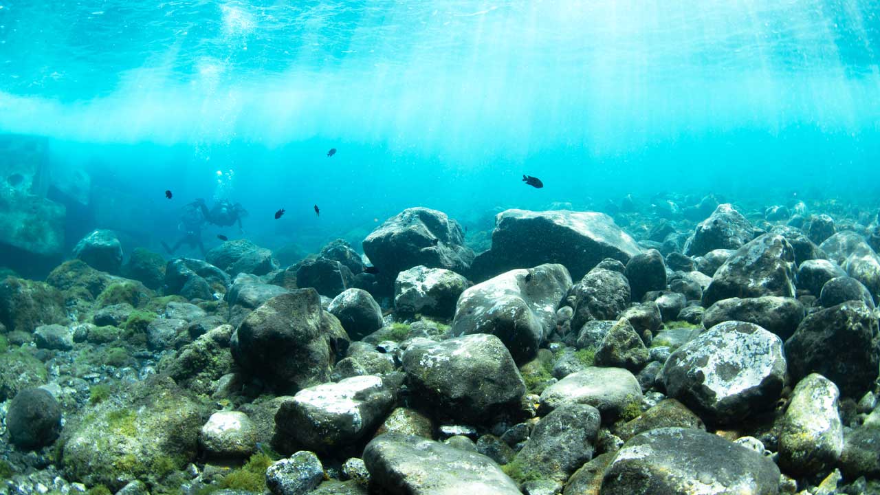 Entrance to Las Eras dive site, sheltered by concrete blocks with rocks on the bottom.